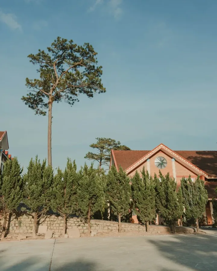 Hình ảnh tại Lê Xuân Hòa 1